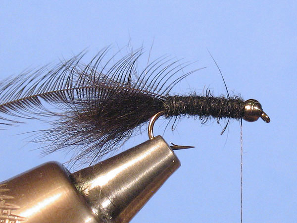 Baby Woolly Bugger - Step 6