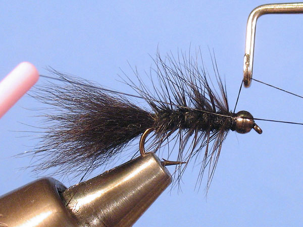 Baby Woolly Bugger - Step 8