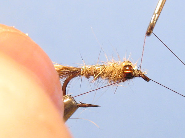 Reflector Hare's Fur Nymph - Step 22