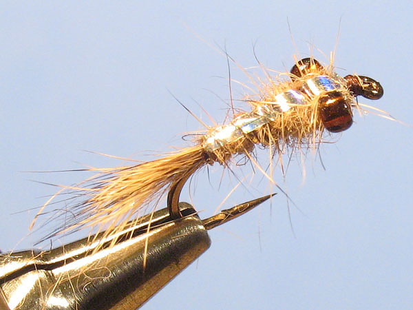 Top view
