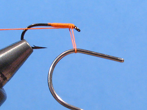 Standard whip-finish - Step 10