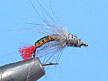 CDC Creative Pupa - SBS